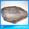 grade A frozen plaice/flounder